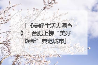 《美好生活大调查》：合肥上榜“美好焕新”典范城市