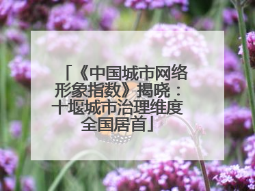 《中国城市网络形象指数》揭晓：十堰城市治理维度全国居首