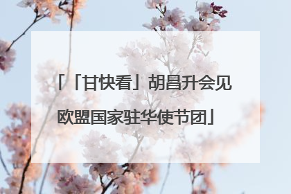 「甘快看」胡昌升会见欧盟国家驻华使节团