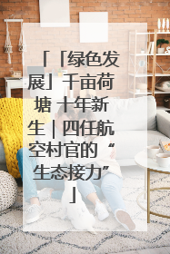 「绿色发展」千亩荷塘 十年新生｜四任航空村官的“生态接力”