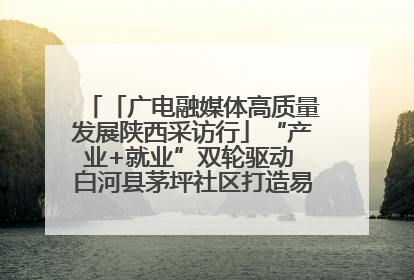 「广电融媒体高质量发展陕西采访行」“产业+就业”双轮驱动 白河县茅坪社区打造易地搬迁后扶新样本