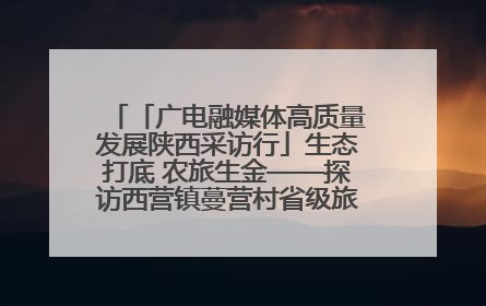 「广电融媒体高质量发展陕西采访行」生态打底 农旅生金——探访西营镇蔓营村省级旅游示范村的振兴密码