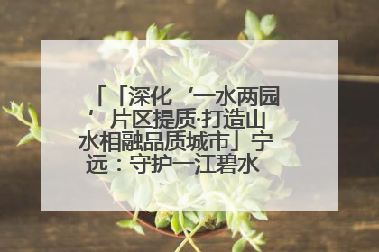 「深化‘一水两园’片区提质·打造山水相融品质城市」宁远：守护一江碧水 共享幸福河湖
