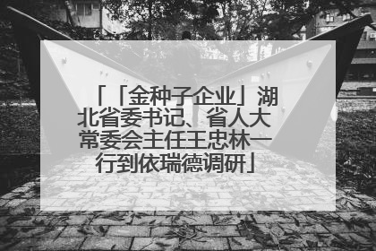 「金种子企业」湖北省委书记、省人大常委会主任王忠林一行到依瑞德调研