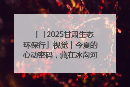 「2025甘肃生态环保行」视觉｜今夏的心动密码，藏在冰沟河的潋滟波光里