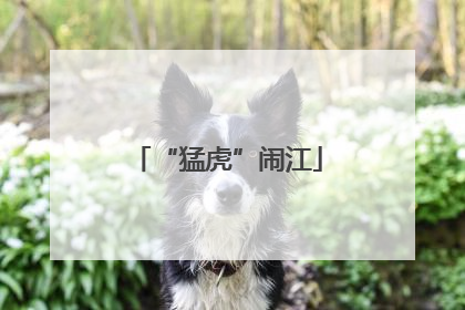 “猛虎”闹江