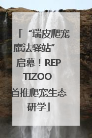 “瑞皮爬宠魔法驿站” 启幕！REPTIZOO 首推爬宠生态研学