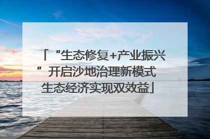“生态修复+产业振兴”开启沙地治理新模式 生态经济实现双效益