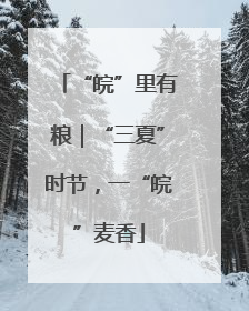 “皖”里有粮｜“三夏”时节，一“皖”麦香