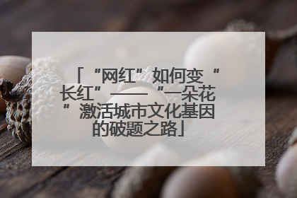 “网红”如何变“长红”——“一朵花”激活城市文化基因的破题之路