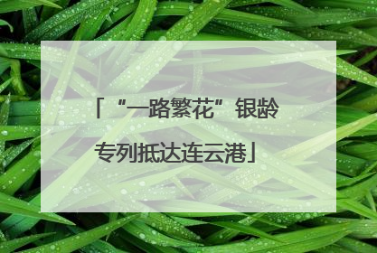 “一路繁花”银龄专列抵达连云港