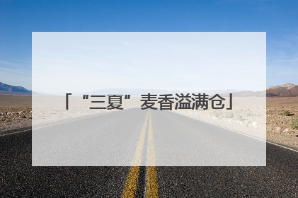 “三夏”麦香溢满仓