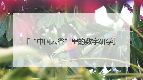 “中国云谷”里的数字研学