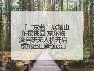 “京燕”展翅山东樱桃园 京东物流自研无人机开启樱桃出山新速度