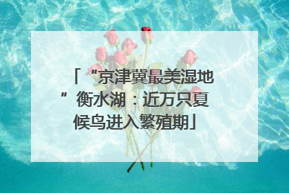 “京津冀最美湿地”衡水湖：近万只夏候鸟进入繁殖期