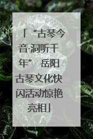 “古琴今音·洞听千年” 岳阳古琴文化快闪活动惊艳亮相