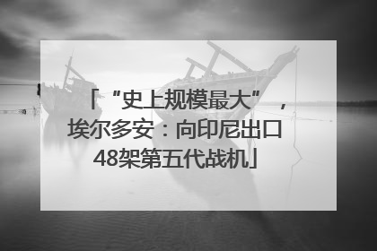 “史上规模最大”，埃尔多安：向印尼出口48架第五代战机