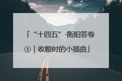 “十四五”·衡阳答卷③｜收粮时的小插曲