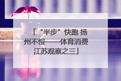 “半步”快跑 扬州不慢——体育消费江苏观察之三
