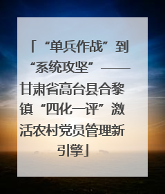 “单兵作战”到“系统攻坚”——甘肃省高台县合黎镇“四化一评”激活农村党员管理新引擎