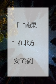 “南果”在北方安了家