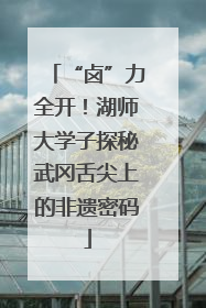 “卤”力全开！湖师大学子探秘武冈舌尖上的非遗密码