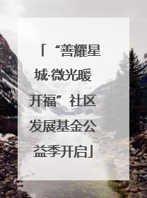 “善耀星城·微光暖开福”社区发展基金公益季开启