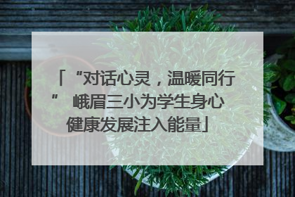 “对话心灵，温暖同行” 峨眉三小为学生身心健康发展注入能量