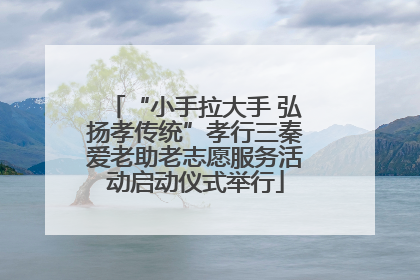 “小手拉大手 弘扬孝传统”孝行三秦爱老助老志愿服务活动启动仪式举行