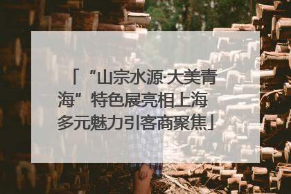 “山宗水源·大美青海”特色展亮相上海 多元魅力引客商聚焦