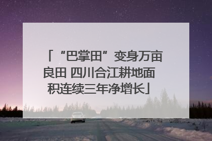 “巴掌田”变身万亩良田 四川合江耕地面积连续三年净增长
