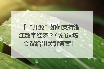 “开源”如何支持浙江数字经济？乌镇这场会议给出关键答案