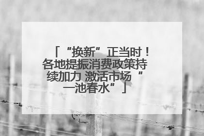 “换新”正当时！各地提振消费政策持续加力 激活市场“一池春水”