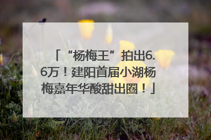 “杨梅王”拍出6.6万！建阳首届小湖杨梅嘉年华酸甜出圈！