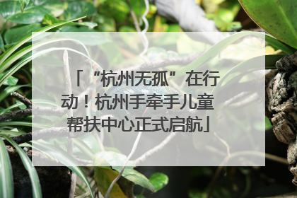 “杭州无孤”在行动！杭州手牵手儿童帮扶中心正式启航