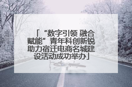 “数字引领 融合赋能”青年科创新锐助力宿迁电商名城建设活动成功举办
