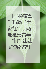 “检察蓝”巧遇“土家红”，两地检察青年“闹”出法治新名堂