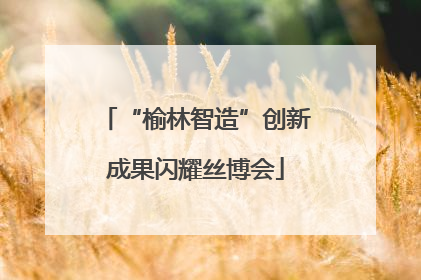 “榆林智造”创新成果闪耀丝博会