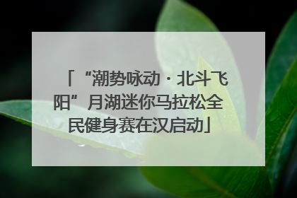 “潮势咏动・北斗飞阳”月湖迷你马拉松全民健身赛在汉启动