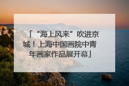 “海上风来”吹进京城！上海中国画院中青年画家作品展开幕