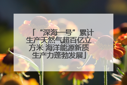 “深海一号”累计生产天然气超百亿立方米 海洋能源新质生产力蓬勃发展