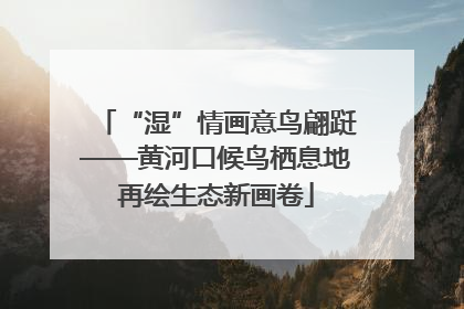 “湿”情画意鸟翩跹——黄河口候鸟栖息地再绘生态新画卷