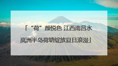 “荷”颜悦色 江西南昌水岚洲半岛荷塘绽放夏日浪漫