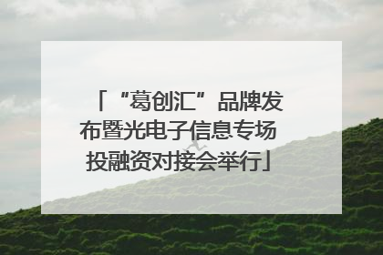 “葛创汇”品牌发布暨光电子信息专场投融资对接会举行