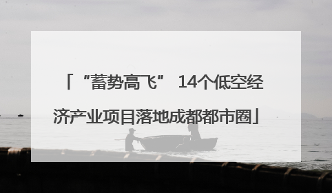 “蓄势高飞” 14个低空经济产业项目落地成都都市圈