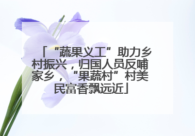 “蔬果义工”助力乡村振兴，归国人员反哺家乡，“果蔬村”村美民富香飘远近