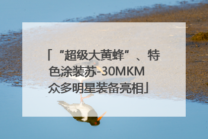 “超级大黄蜂”、特色涂装苏-30MKM 众多明星装备亮相