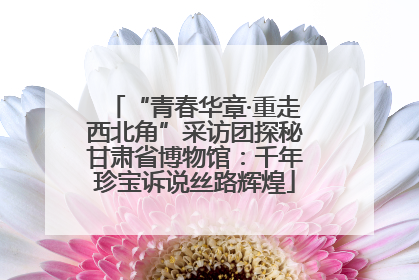 “青春华章·重走西北角”采访团探秘甘肃省博物馆：千年珍宝诉说丝路辉煌