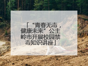 “青春无毒，健康未来”公主岭市开展校园禁毒知识讲座