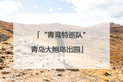 “青鸾特巡队”青岛大鲍岛出圈